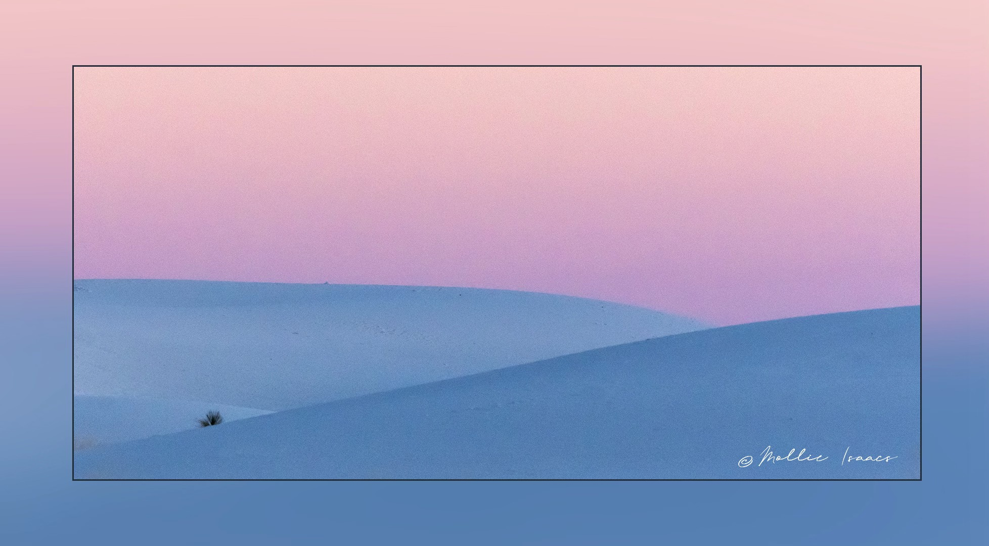 White Sands dunes in early morning light.